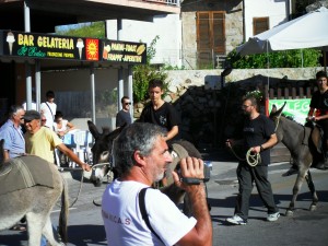 Corsa degli Asini,Giglio Castello 15 Settembre